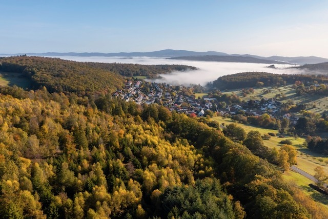 Partnervermittlung im Taunus