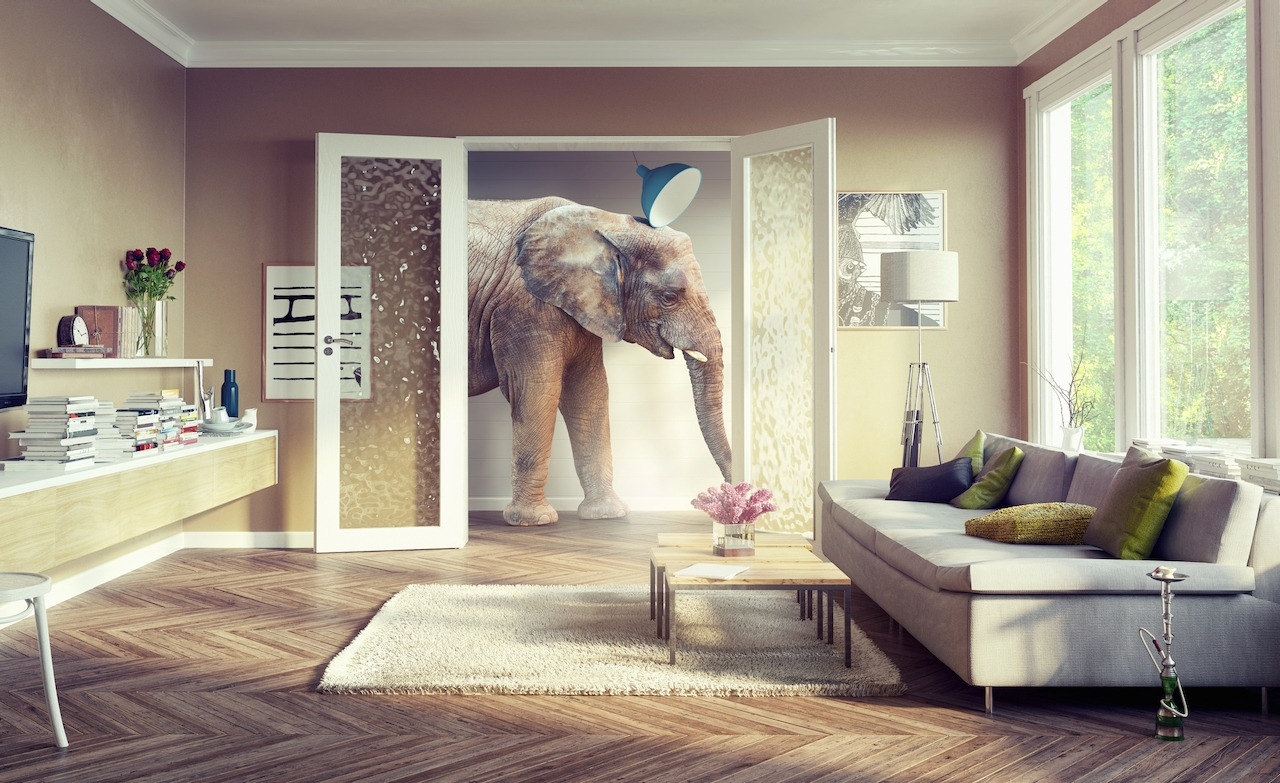 Der Elefant im Raum &#8211; der viel zu häufig unbeachtet bleibt&#8230;