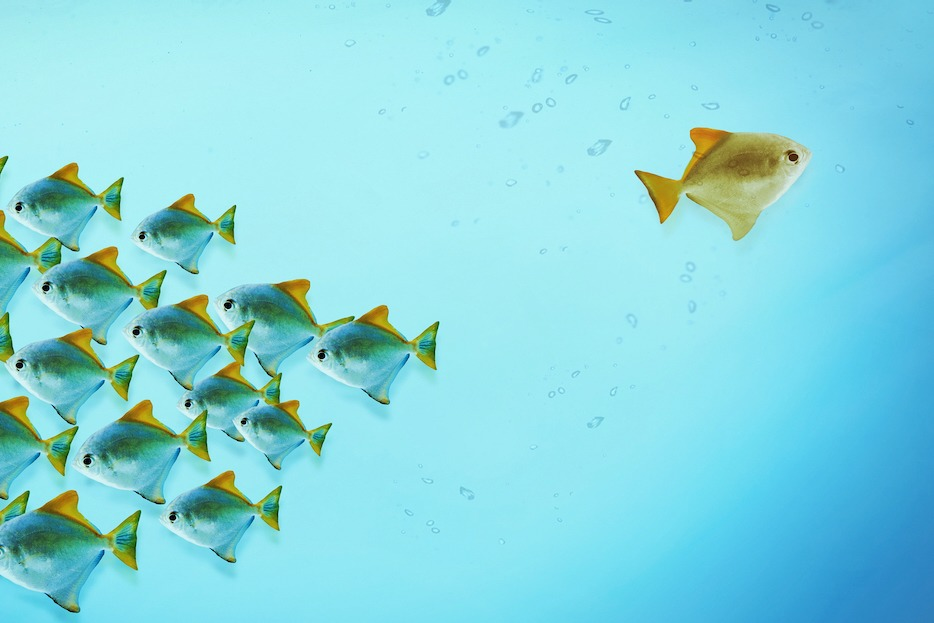 Das Single-Fallen-Syndrom: Mythos oder Wahrheit?